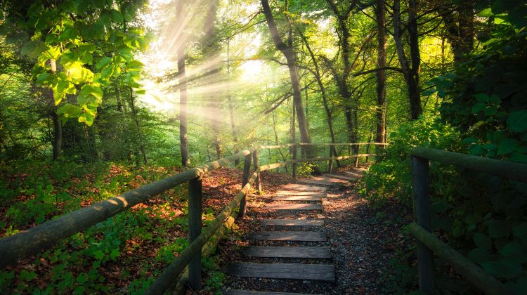 A importância da continuidade (1)