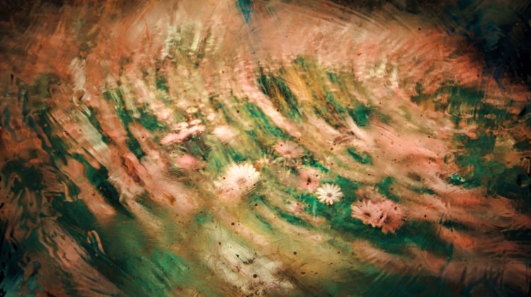 As Percepcoes Mentais e os Chacras_Artigo Erica Fukuyama