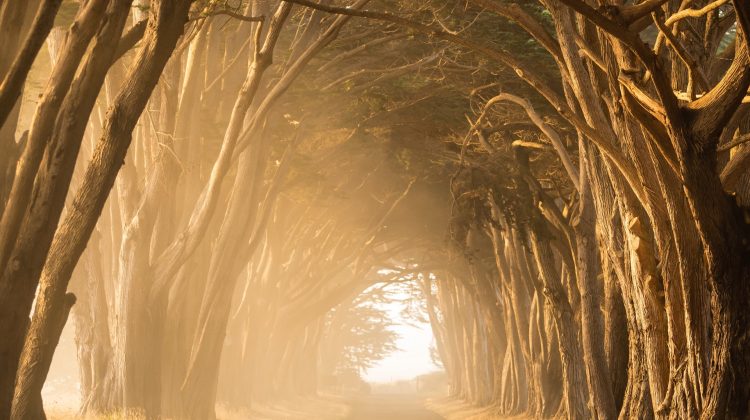 stephen-leonardi-gyIRjKPXupE-unsplash