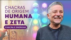 As características dos chacras em humanos e em consciências Zetas