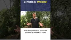 Consciência Universal